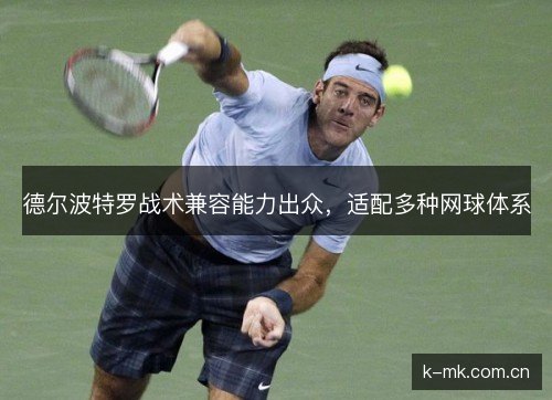 德尔波特罗战术兼容能力出众,适配多种网球体系 德尔波特罗战术兼容能力出众,适配多种网球体系