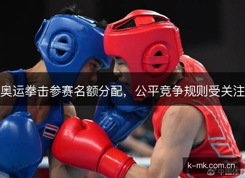 奥运拳击参赛名额分配，公平竞争规则受关注